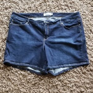 Torrid shorts